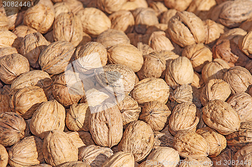 Image of Pile of walnuts