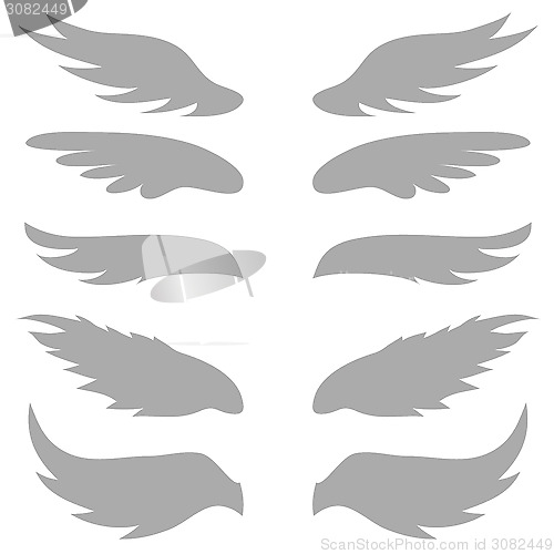 Image of wings