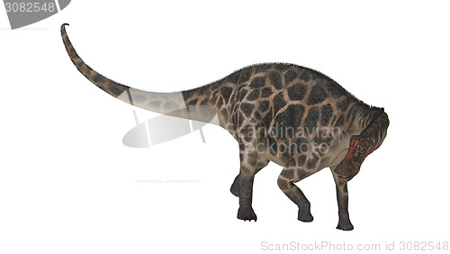 Image of Dinosaur Dicraeosaurus