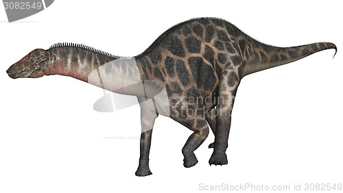 Image of Dinosaur Dicraeosaurus