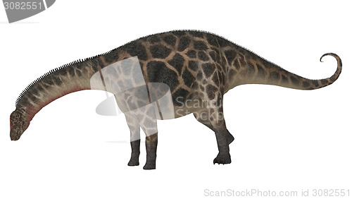 Image of Dinosaur Dicraeosaurus