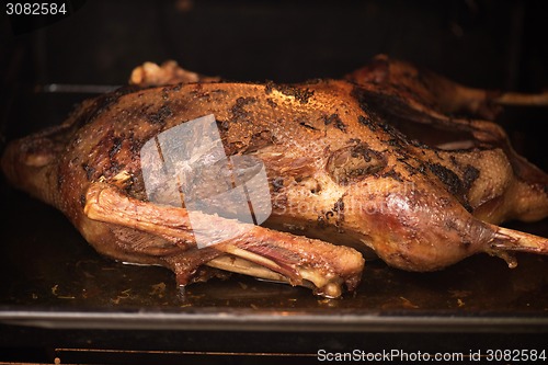 Image of roasted goose 