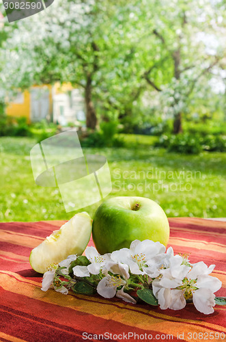 Image of Green apple with a branch of a blossoming apple-tree