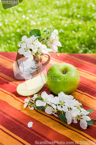 Image of Green apple with a branch of a blossoming apple-tree