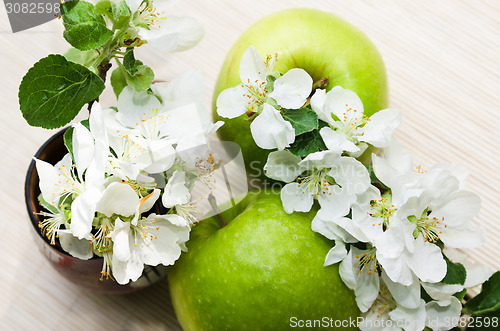 Image of Green apple with a branch of a blossoming apple-tree