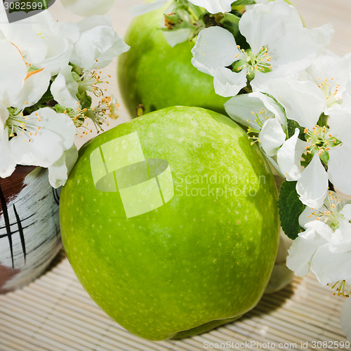 Image of Green apple with a branch of a blossoming apple-tree
