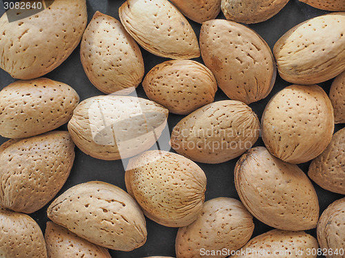 Image of Almond fruit