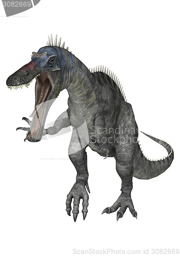 Image of Dinosaur Suchomimus