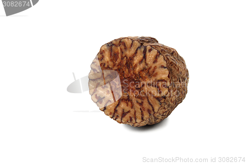 Image of Nutmeg