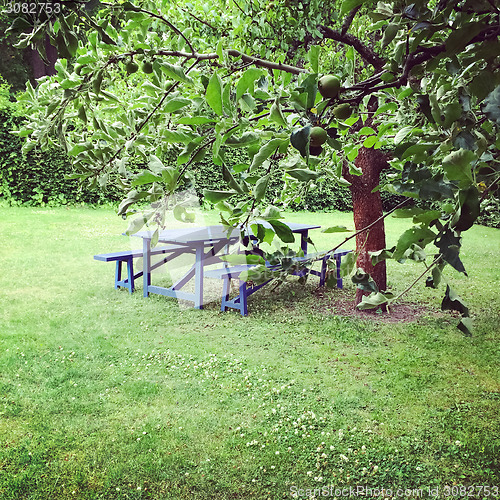 Image of Wooden table in green summer garden