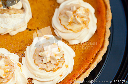 Image of Pumpkin Pie