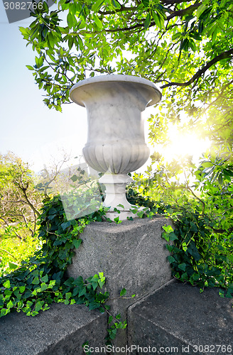 Image of Stony flowerpot