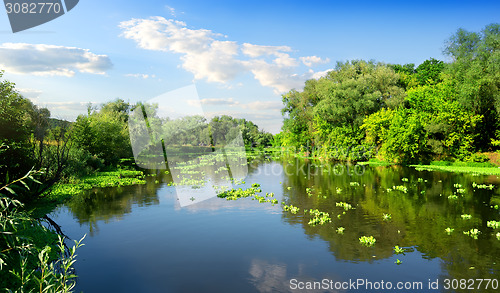 Image of River and summer