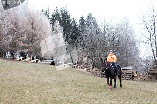 Image of Girl and horse