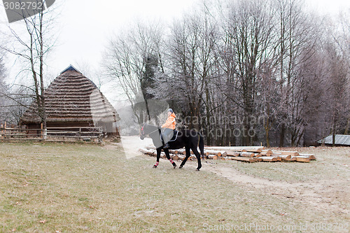 Image of Girl and horse