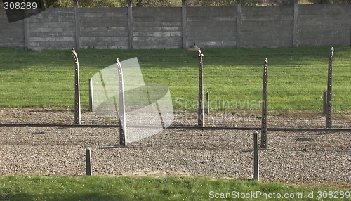 Image of Fence in Auschwitz