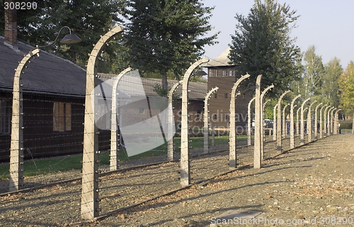 Image of Fence in Auschwitz