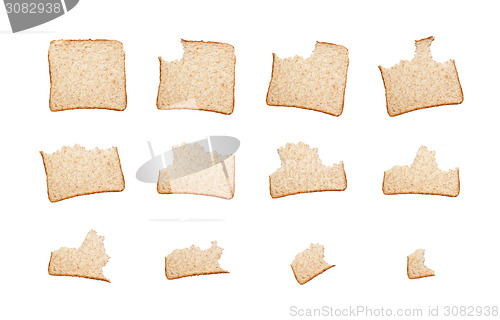 Image of Eating a slice of wholemeal bread