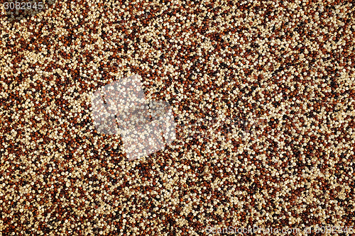 Image of Mixed red, white and black quinoa background 