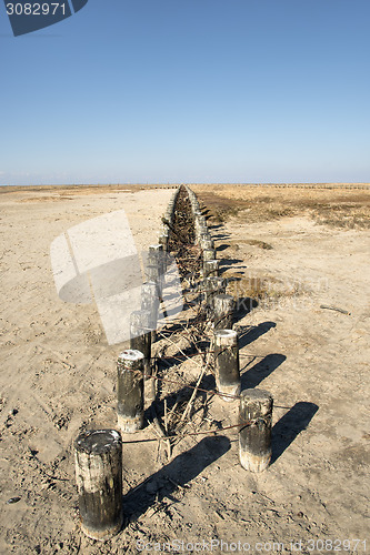 Image of Wooden poles