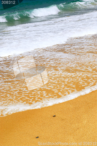 Image of Sandy ocean beach