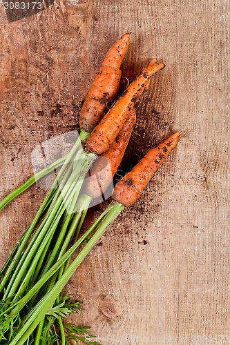 Image of fresh carrots