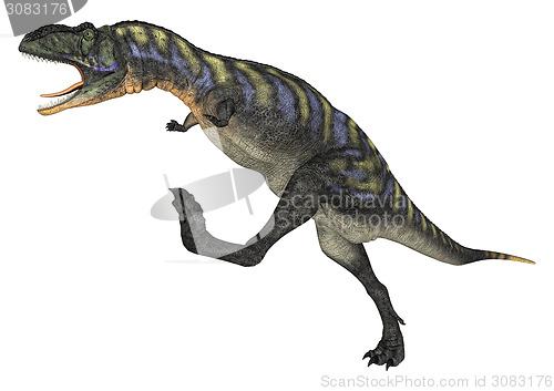 Image of Dinosaur Aucasaurus