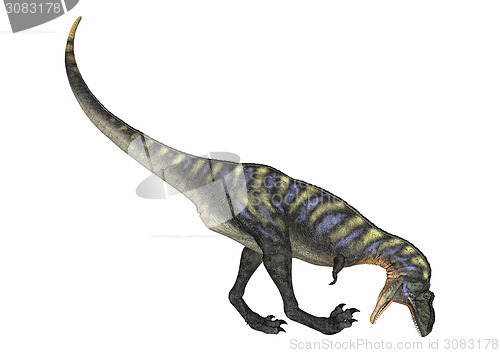 Image of Dinosaur Aucasaurus