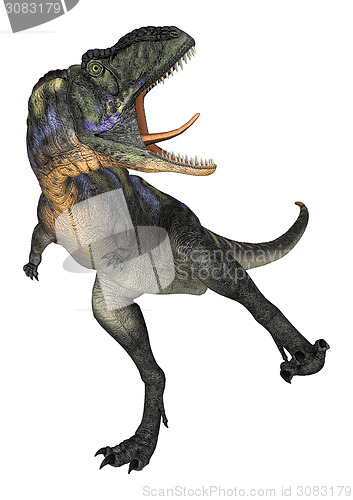 Image of Dinosaur Aucasaurus