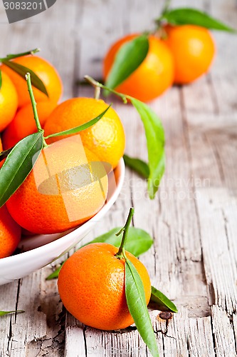 Image of fresh tangerines with leaves 