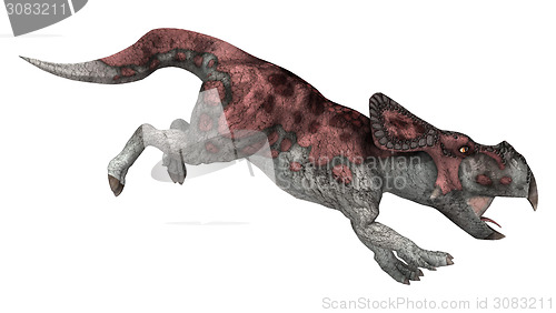 Image of Dinosaur Protoceratops