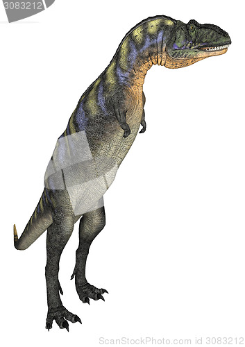 Image of Dinosaur Aucasaurus