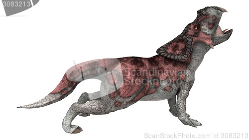 Image of Dinosaur Protoceratops