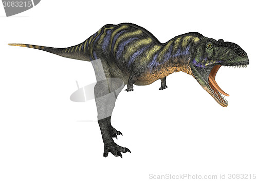 Image of Dinosaur Aucasaurus