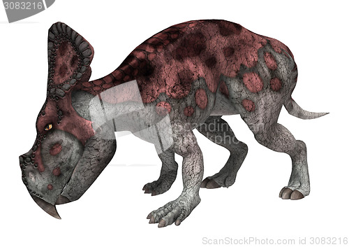 Image of Dinosaur Protoceratops