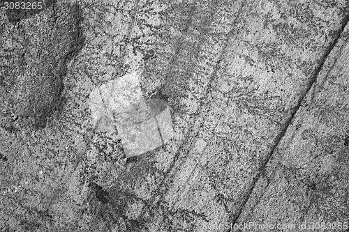 Image of Intricate fern-like markings on sandstone