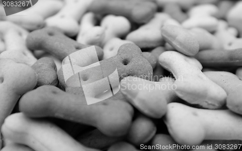 Image of Close-up of dried dog food 