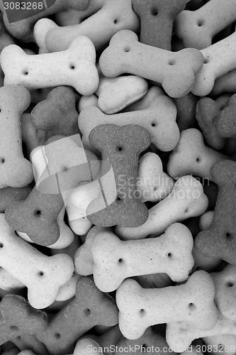 Image of Mixed dog biscuits 