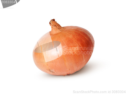 Image of Single Fresh Golden Onion