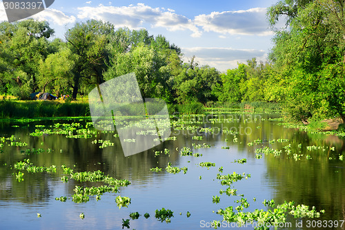 Image of Summer on river