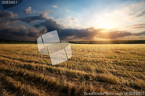 Image of Sunbeams over field