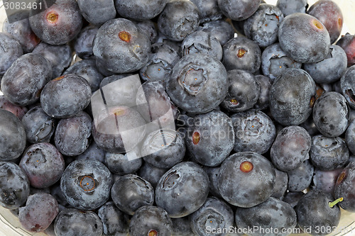 Image of Blueberries