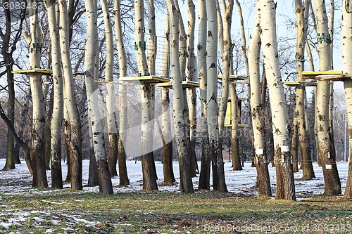 Image of Survival training camp