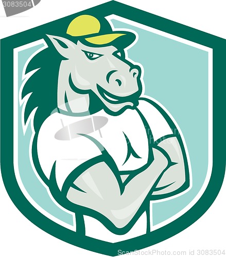 Image of Horse Arms Crossed Shield Cartoon