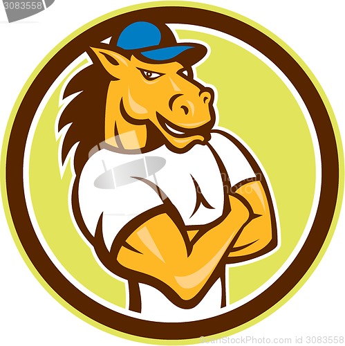 Image of Horse Arms Crossed Circle Cartoon