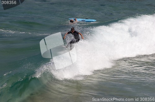 Image of On the crest of a wave