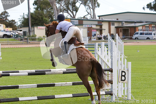 Image of Horse Jumping