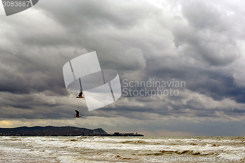Image of Two seagulls fly over the sea to cloudy weather.