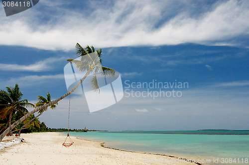 Image of Ocean Beach