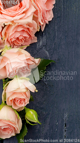 Image of Pink Roses